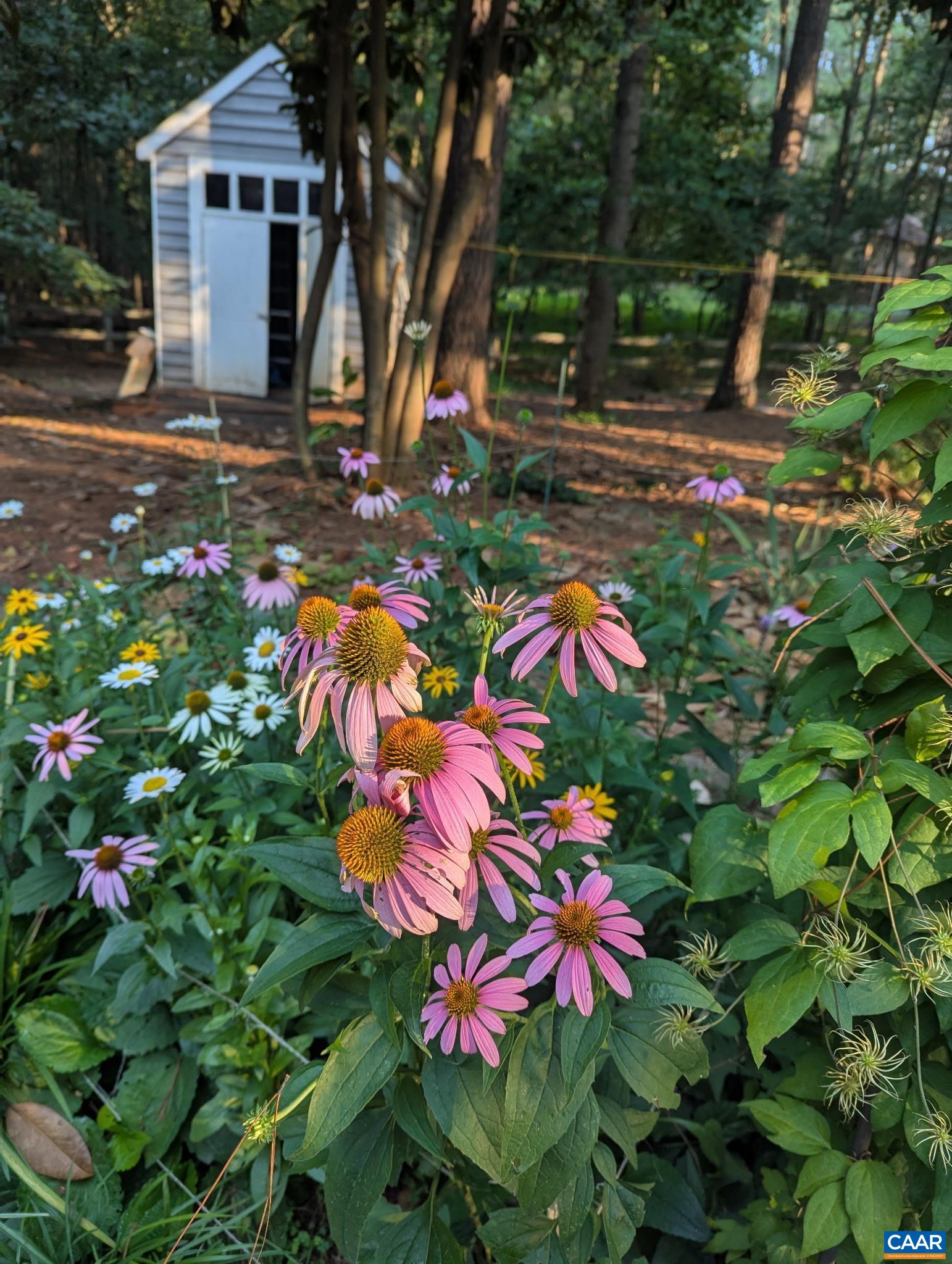 4220 PADDOCK CIR, EARLYSVILLE, Virginia 22936, 3 Bedrooms Bedrooms, ,2 BathroomsBathrooms,Residential,From Cville Take Woodlands Rd to Earlysville Rd. t,4220 PADDOCK CIR,671141 MLS # 671141 4220 PADDOCK CIR, EARLYSVILLE, Virginia 22936, 3 Bedrooms Bedrooms, ,2 BathroomsBathrooms,Residential,From Cville Take Woodlands Rd to Earlysville Rd. t,4220 PADDOCK CIR,671141 MLS # 671141