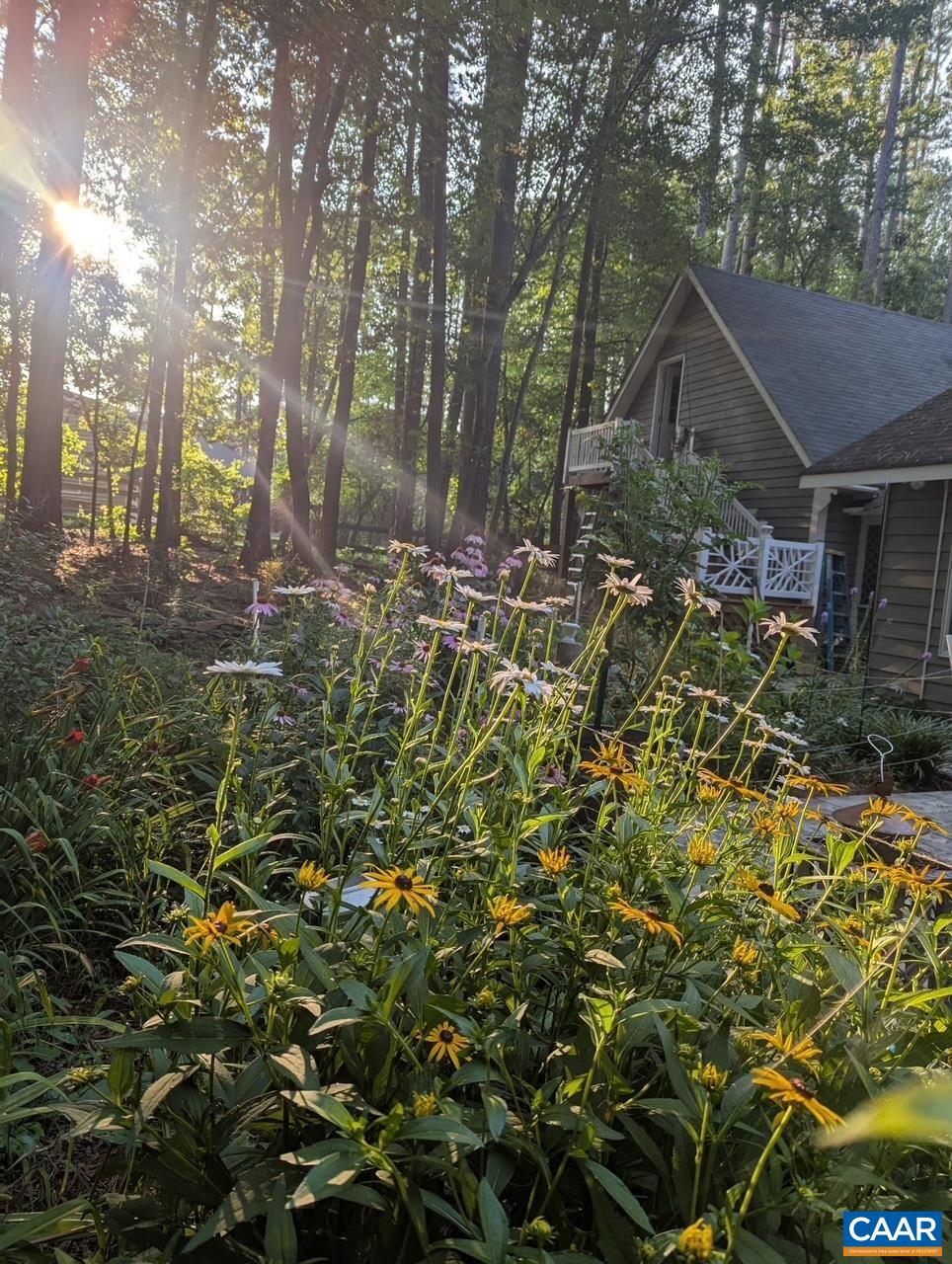 4220 PADDOCK CIR, EARLYSVILLE, Virginia 22936, 3 Bedrooms Bedrooms, ,2 BathroomsBathrooms,Residential,From Cville Take Woodlands Rd to Earlysville Rd. t,4220 PADDOCK CIR,671141 MLS # 671141 4220 PADDOCK CIR, EARLYSVILLE, Virginia 22936, 3 Bedrooms Bedrooms, ,2 BathroomsBathrooms,Residential,From Cville Take Woodlands Rd to Earlysville Rd. t,4220 PADDOCK CIR,671141 MLS # 671141