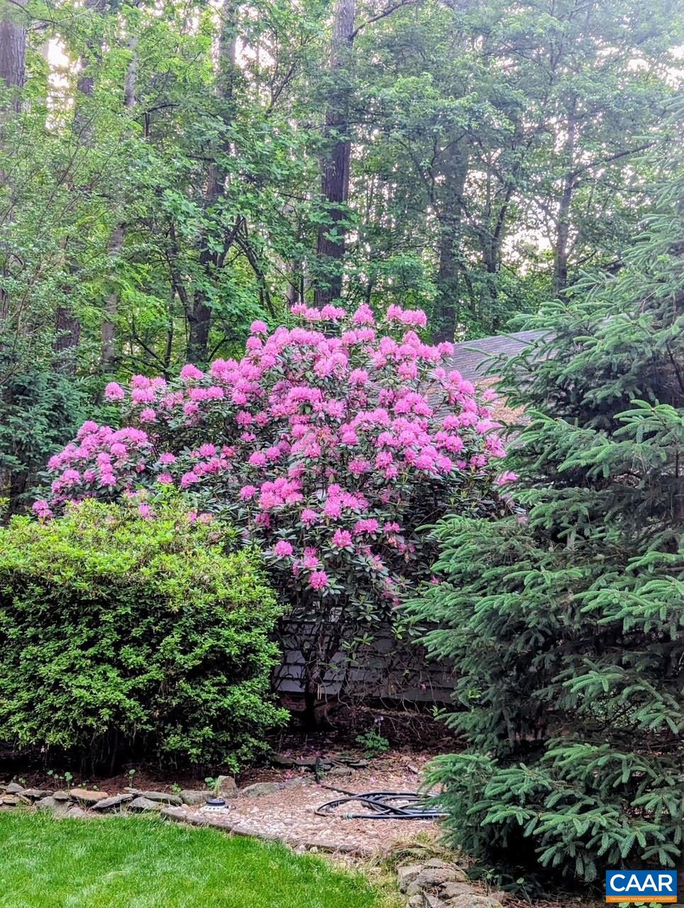 4220 PADDOCK CIR, EARLYSVILLE, Virginia 22936, 3 Bedrooms Bedrooms, ,2 BathroomsBathrooms,Residential,From Cville Take Woodlands Rd to Earlysville Rd. t,4220 PADDOCK CIR,671141 MLS # 671141 4220 PADDOCK CIR, EARLYSVILLE, Virginia 22936, 3 Bedrooms Bedrooms, ,2 BathroomsBathrooms,Residential,From Cville Take Woodlands Rd to Earlysville Rd. t,4220 PADDOCK CIR,671141 MLS # 671141