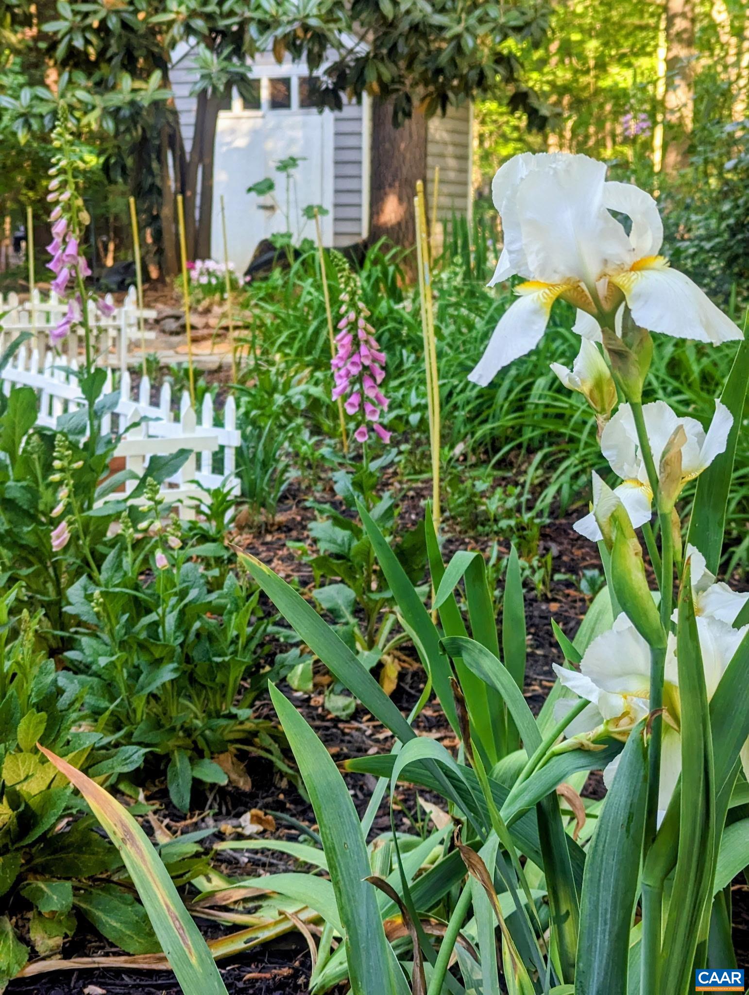 4220 PADDOCK CIR, EARLYSVILLE, Virginia 22936, 3 Bedrooms Bedrooms, ,2 BathroomsBathrooms,Residential,From Cville Take Woodlands Rd to Earlysville Rd. t,4220 PADDOCK CIR,671141 MLS # 671141 4220 PADDOCK CIR, EARLYSVILLE, Virginia 22936, 3 Bedrooms Bedrooms, ,2 BathroomsBathrooms,Residential,From Cville Take Woodlands Rd to Earlysville Rd. t,4220 PADDOCK CIR,671141 MLS # 671141