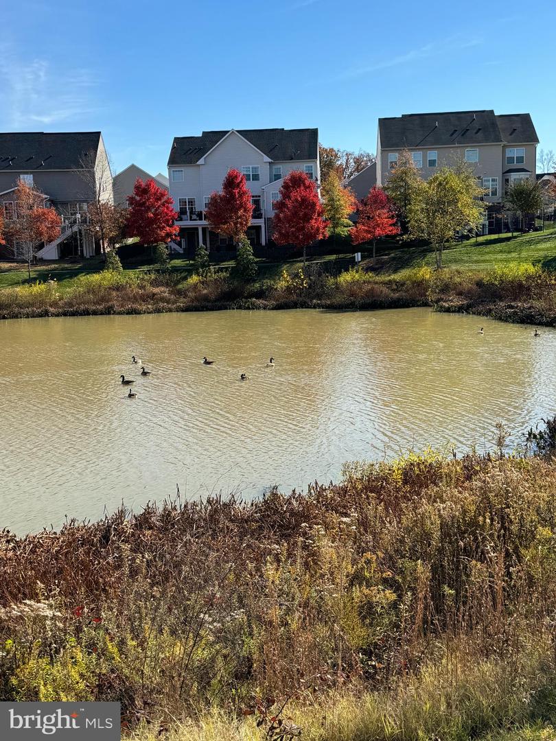 22796 BREEZY HOLLOW DR, BRAMBLETON, Virginia 20148, 3 Bedrooms Bedrooms, ,3 BathroomsBathrooms,Residential,For sale,22796 BREEZY HOLLOW DR,VALO2108184 MLS # VALO2108184 22796 BREEZY HOLLOW DR, BRAMBLETON, Virginia 20148, 3 Bedrooms Bedrooms, ,3 BathroomsBathrooms,Residential,For sale,22796 BREEZY HOLLOW DR,VALO2108184 MLS # VALO2108184