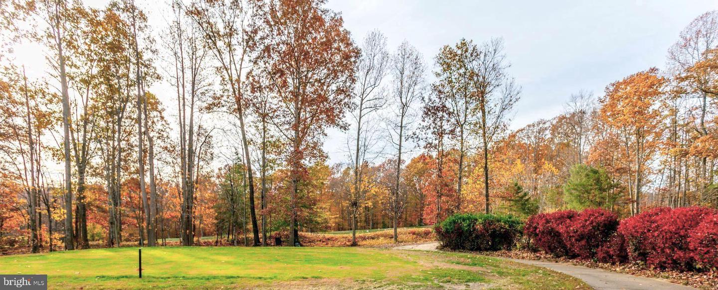 4737 GRAND MASTERS WAY, WOODBRIDGE, Virginia 22192, 6 Bedrooms Bedrooms, ,5 BathroomsBathrooms,Residential,For sale,4737 GRAND MASTERS WAY,VAPW2106912 MLS # VAPW2106912 4737 GRAND MASTERS WAY, WOODBRIDGE, Virginia 22192, 6 Bedrooms Bedrooms, ,5 BathroomsBathrooms,Residential,For sale,4737 GRAND MASTERS WAY,VAPW2106912 MLS # VAPW2106912