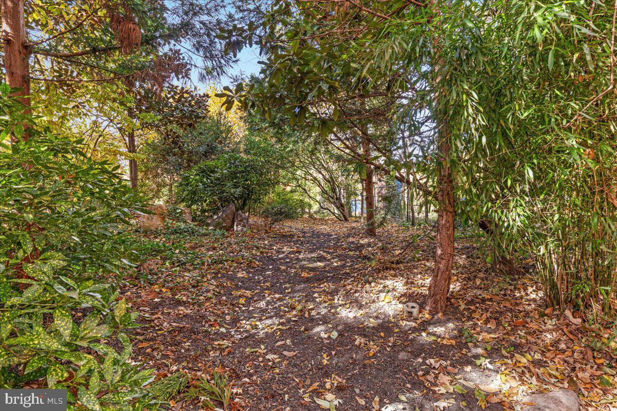 316 W WHITLOCK AVE, WINCHESTER, Virginia 22601, 3 Bedrooms Bedrooms, ,2 BathroomsBathrooms,Residential,For sale,316 W WHITLOCK AVE,VAWI2009444 MLS # VAWI2009444 316 W WHITLOCK AVE, WINCHESTER, Virginia 22601, 3 Bedrooms Bedrooms, ,2 BathroomsBathrooms,Residential,For sale,316 W WHITLOCK AVE,VAWI2009444 MLS # VAWI2009444