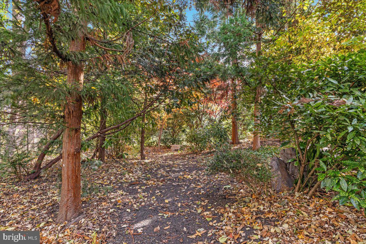 316 W WHITLOCK AVE, WINCHESTER, Virginia 22601, 3 Bedrooms Bedrooms, ,2 BathroomsBathrooms,Residential,For sale,316 W WHITLOCK AVE,VAWI2009444 MLS # VAWI2009444 316 W WHITLOCK AVE, WINCHESTER, Virginia 22601, 3 Bedrooms Bedrooms, ,2 BathroomsBathrooms,Residential,For sale,316 W WHITLOCK AVE,VAWI2009444 MLS # VAWI2009444