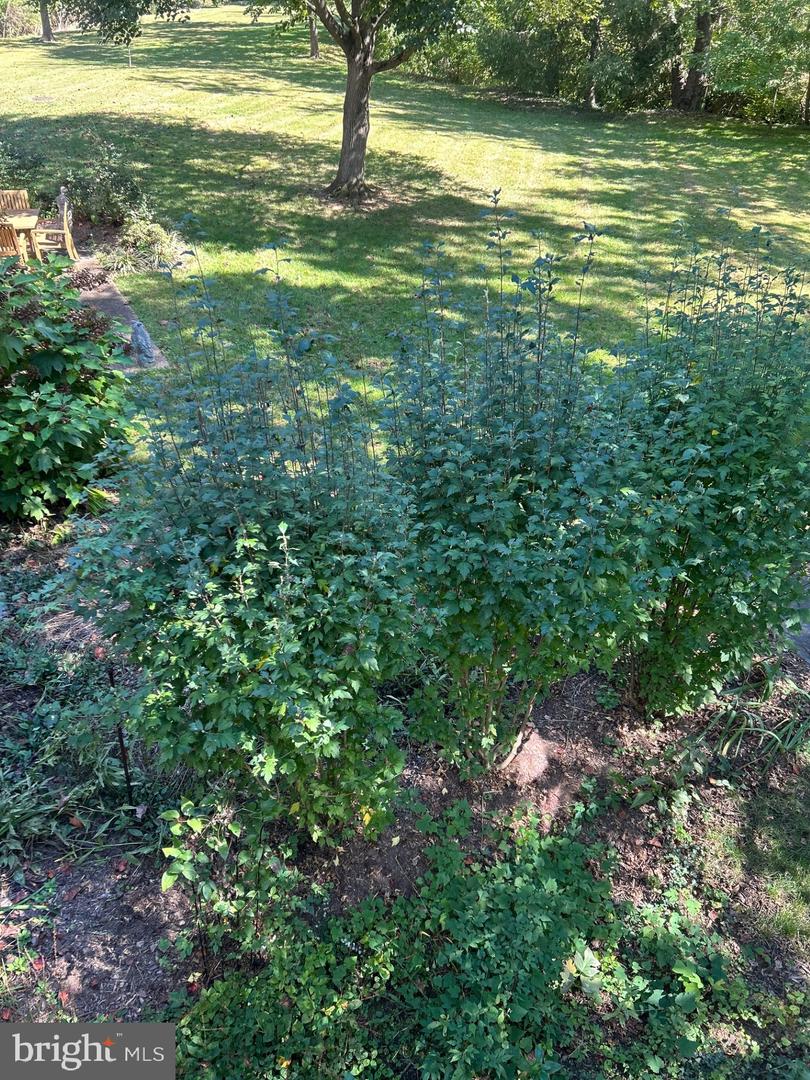 3889 TUSICO PL, FAIRFAX, Virginia 22030, 3 Bedrooms Bedrooms, ,3 BathroomsBathrooms,Residential,For sale,3889 TUSICO PL,VAFC2007384 MLS # VAFC2007384 3889 TUSICO PL, FAIRFAX, Virginia 22030, 3 Bedrooms Bedrooms, ,3 BathroomsBathrooms,Residential,For sale,3889 TUSICO PL,VAFC2007384 MLS # VAFC2007384