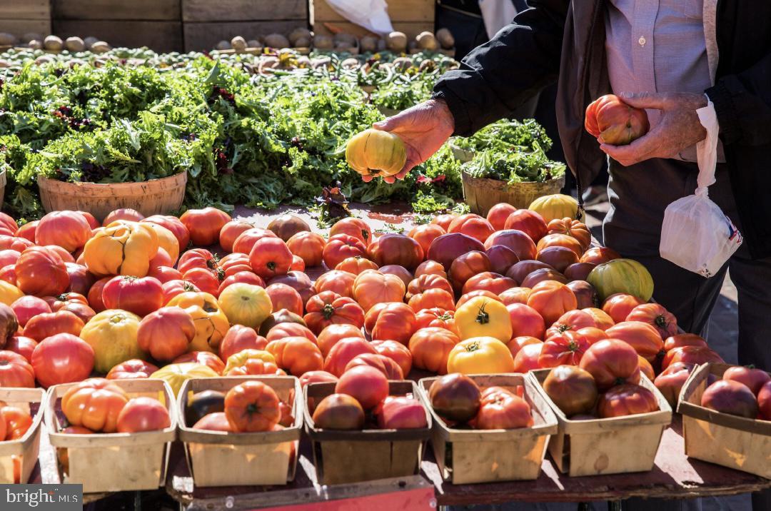 1023 N ROYAL ST #214, ALEXANDRIA, Virginia 22314, 1 Bedroom Bedrooms, ,1 BathroomBathrooms,Residential,For sale,1023 N ROYAL ST #214,VAAX2051796 MLS # VAAX2051796 1023 N ROYAL ST #214, ALEXANDRIA, Virginia 22314, 1 Bedroom Bedrooms, ,1 BathroomBathrooms,Residential,For sale,1023 N ROYAL ST #214,VAAX2051796 MLS # VAAX2051796