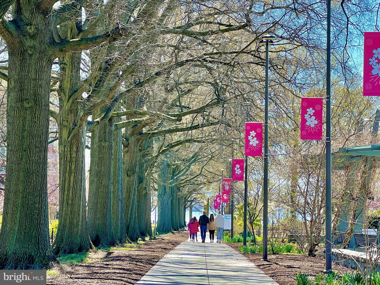 429 N ST SW #S-510, WASHINGTON, District Of Columbia 20024, ,1 BathroomBathrooms,Residential,For sale,429 N ST SW #S-510,DCDC2231732 MLS # DCDC2231732