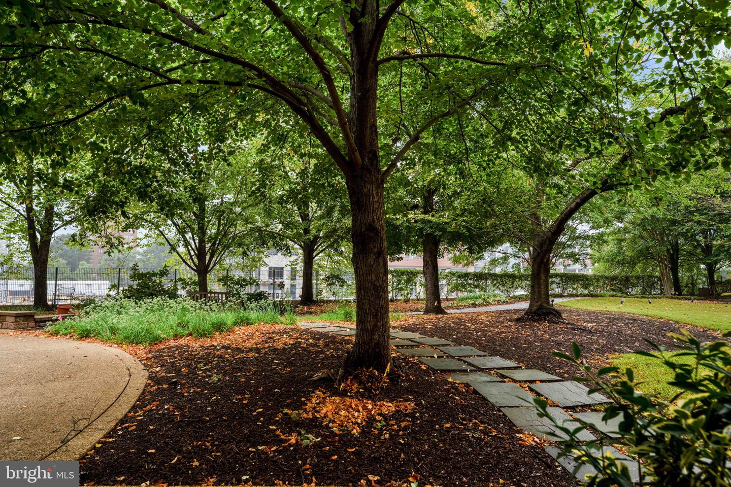 4141 N HENDERSON RD #702, ARLINGTON, Virginia 22203, 1 Bedroom Bedrooms, ,1 BathroomBathrooms,Residential,For sale,4141 N HENDERSON RD #702,VAAR2065710 MLS # VAAR2065710 4141 N HENDERSON RD #702, ARLINGTON, Virginia 22203, 1 Bedroom Bedrooms, ,1 BathroomBathrooms,Residential,For sale,4141 N HENDERSON RD #702,VAAR2065710 MLS # VAAR2065710