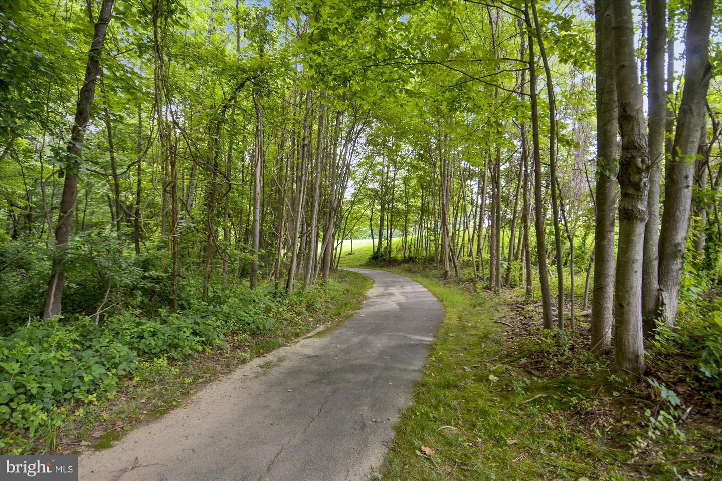 2914 MAINSTONE DR, FAIRFAX, Virginia 22031, 3 Bedrooms Bedrooms, 14 Rooms Rooms,2 BathroomsBathrooms,Residential,For sale,2914 MAINSTONE DR,VAFX2278446 MLS # VAFX2278446 2914 MAINSTONE DR, FAIRFAX, Virginia 22031, 3 Bedrooms Bedrooms, 14 Rooms Rooms,2 BathroomsBathrooms,Residential,For sale,2914 MAINSTONE DR,VAFX2278446 MLS # VAFX2278446