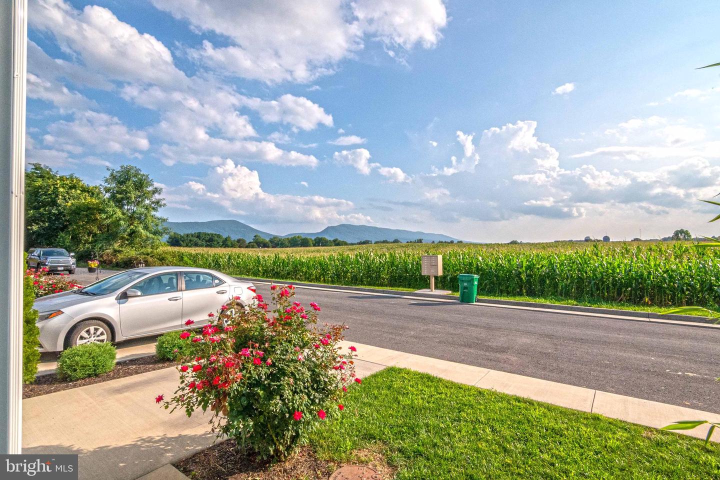 242 PARKSIDE CT, WOODSTOCK, Virginia 22664, 3 Bedrooms Bedrooms, ,2 BathroomsBathrooms,Residential,For sale,242 PARKSIDE CT,VASH2012950 MLS # VASH2012950 242 PARKSIDE CT, WOODSTOCK, Virginia 22664, 3 Bedrooms Bedrooms, ,2 BathroomsBathrooms,Residential,For sale,242 PARKSIDE CT,VASH2012950 MLS # VASH2012950