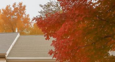 12390 MANCHESTER WAY, WOODBRIDGE, Virginia 22192, 3 Bedrooms Bedrooms, ,2 BathroomsBathrooms,Residential,For sale,12390 MANCHESTER WAY,VAPW2107554 MLS # VAPW2107554