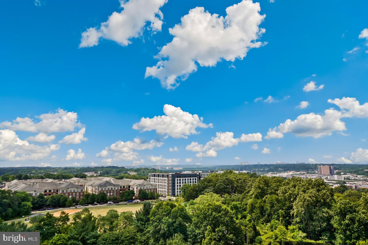 5902 MOUNT EAGLE DR #1503, ALEXANDRIA, Virginia 22303, 2 Bedrooms Bedrooms, 8 Rooms Rooms,1 BathroomBathrooms,Residential,For sale,5902 MOUNT EAGLE DR #1503,VAFX2278870 MLS # VAFX2278870 5902 MOUNT EAGLE DR #1503, ALEXANDRIA, Virginia 22303, 2 Bedrooms Bedrooms, 8 Rooms Rooms,1 BathroomBathrooms,Residential,For sale,5902 MOUNT EAGLE DR #1503,VAFX2278870 MLS # VAFX2278870