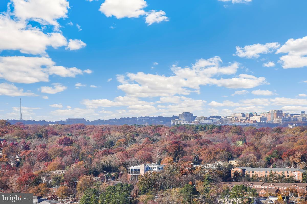 5902 MOUNT EAGLE DR #1503, ALEXANDRIA, Virginia 22303, 2 Bedrooms Bedrooms, 8 Rooms Rooms,1 BathroomBathrooms,Residential,For sale,5902 MOUNT EAGLE DR #1503,VAFX2278870 MLS # VAFX2278870 5902 MOUNT EAGLE DR #1503, ALEXANDRIA, Virginia 22303, 2 Bedrooms Bedrooms, 8 Rooms Rooms,1 BathroomBathrooms,Residential,For sale,5902 MOUNT EAGLE DR #1503,VAFX2278870 MLS # VAFX2278870