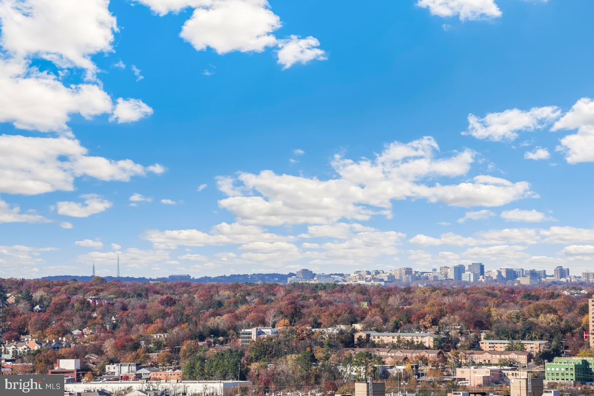 5902 MOUNT EAGLE DR #1503, ALEXANDRIA, Virginia 22303, 2 Bedrooms Bedrooms, 8 Rooms Rooms,1 BathroomBathrooms,Residential,For sale,5902 MOUNT EAGLE DR #1503,VAFX2278870 MLS # VAFX2278870 5902 MOUNT EAGLE DR #1503, ALEXANDRIA, Virginia 22303, 2 Bedrooms Bedrooms, 8 Rooms Rooms,1 BathroomBathrooms,Residential,For sale,5902 MOUNT EAGLE DR #1503,VAFX2278870 MLS # VAFX2278870