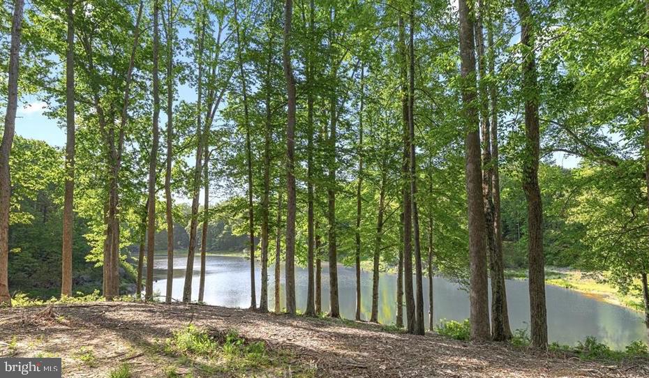 243 BELLEVUE CIR, AYLETT, Virginia 23009, 3 Bedrooms Bedrooms, 9 Rooms Rooms,2 BathroomsBathrooms,Residential,For sale,243 BELLEVUE CIR,VAKW2000252 MLS # VAKW2000252 243 BELLEVUE CIR, AYLETT, Virginia 23009, 3 Bedrooms Bedrooms, 9 Rooms Rooms,2 BathroomsBathrooms,Residential,For sale,243 BELLEVUE CIR,VAKW2000252 MLS # VAKW2000252