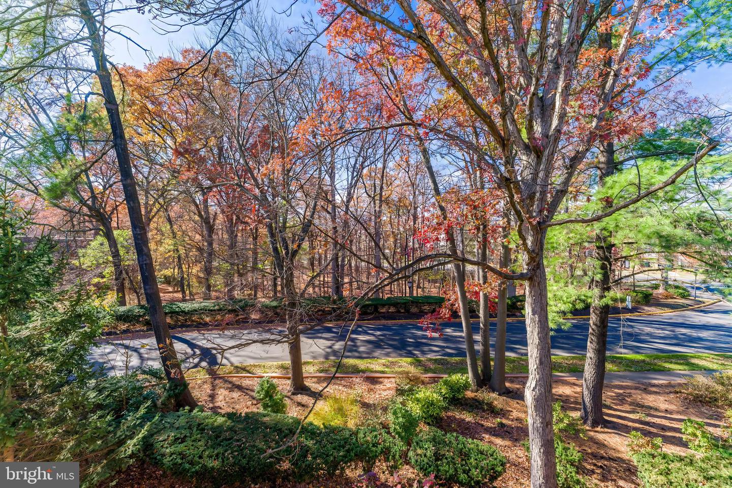 1623 PARKCREST CIR #9B/300, RESTON, Virginia 20190, 2 Bedrooms Bedrooms, ,1 BathroomBathrooms,Residential,For sale,1623 PARKCREST CIR #9B/300,VAFX2278708 MLS # VAFX2278708 1623 PARKCREST CIR #9B/300, RESTON, Virginia 20190, 2 Bedrooms Bedrooms, ,1 BathroomBathrooms,Residential,For sale,1623 PARKCREST CIR #9B/300,VAFX2278708 MLS # VAFX2278708