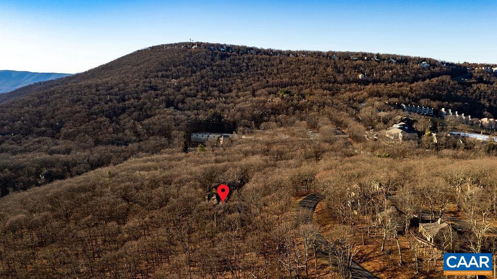 800 LAURELWOOD CONDOS, WINTERGREEN RESORT, Virginia 22967, 1 Bedroom Bedrooms, ,1 BathroomBathrooms,Residential,For sale,800 LAURELWOOD CONDOS,671074 MLS # 671074