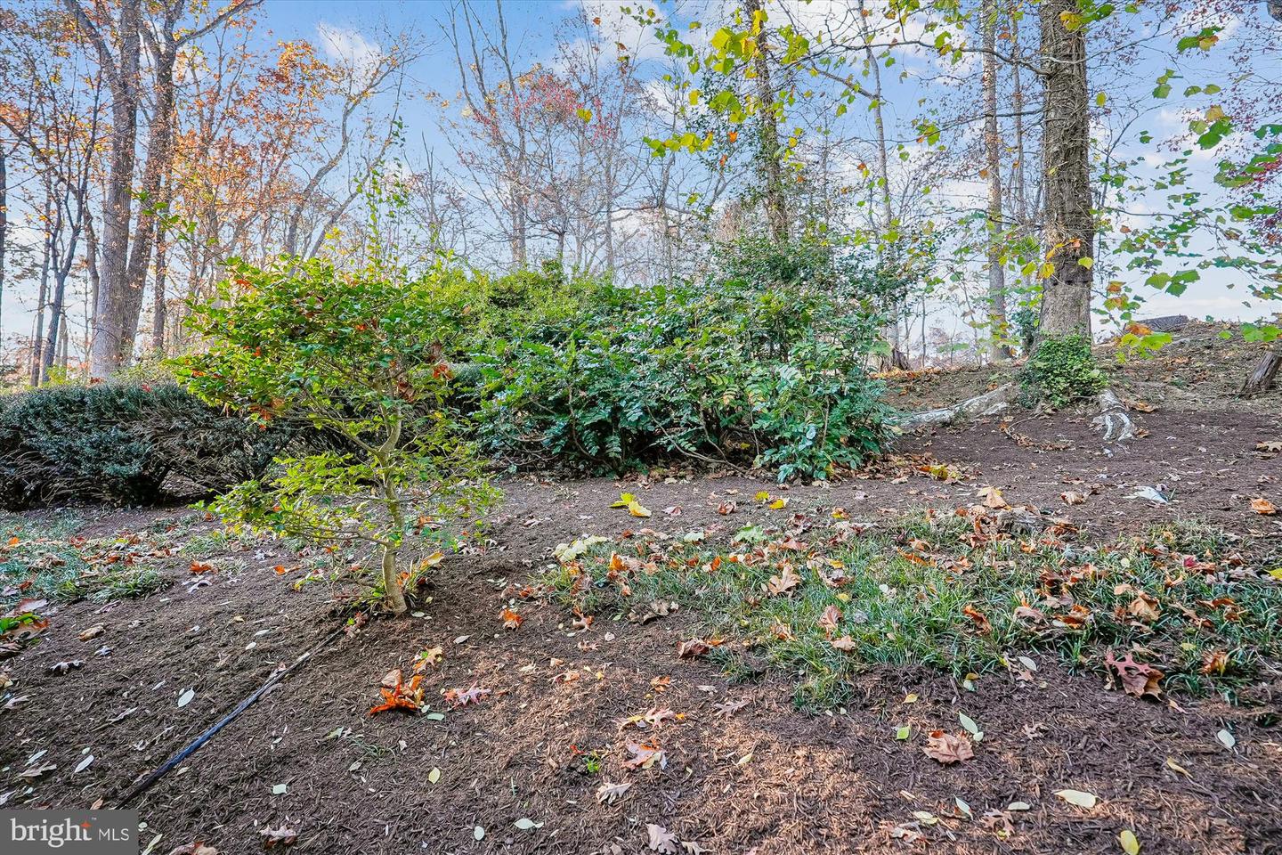 11410 RUNNING CEDAR RD, RESTON, Virginia 20191, 4 Bedrooms Bedrooms, ,2 BathroomsBathrooms,Residential,For sale,11410 RUNNING CEDAR RD,VAFX2279004 MLS # VAFX2279004 11410 RUNNING CEDAR RD, RESTON, Virginia 20191, 4 Bedrooms Bedrooms, ,2 BathroomsBathrooms,Residential,For sale,11410 RUNNING CEDAR RD,VAFX2279004 MLS # VAFX2279004