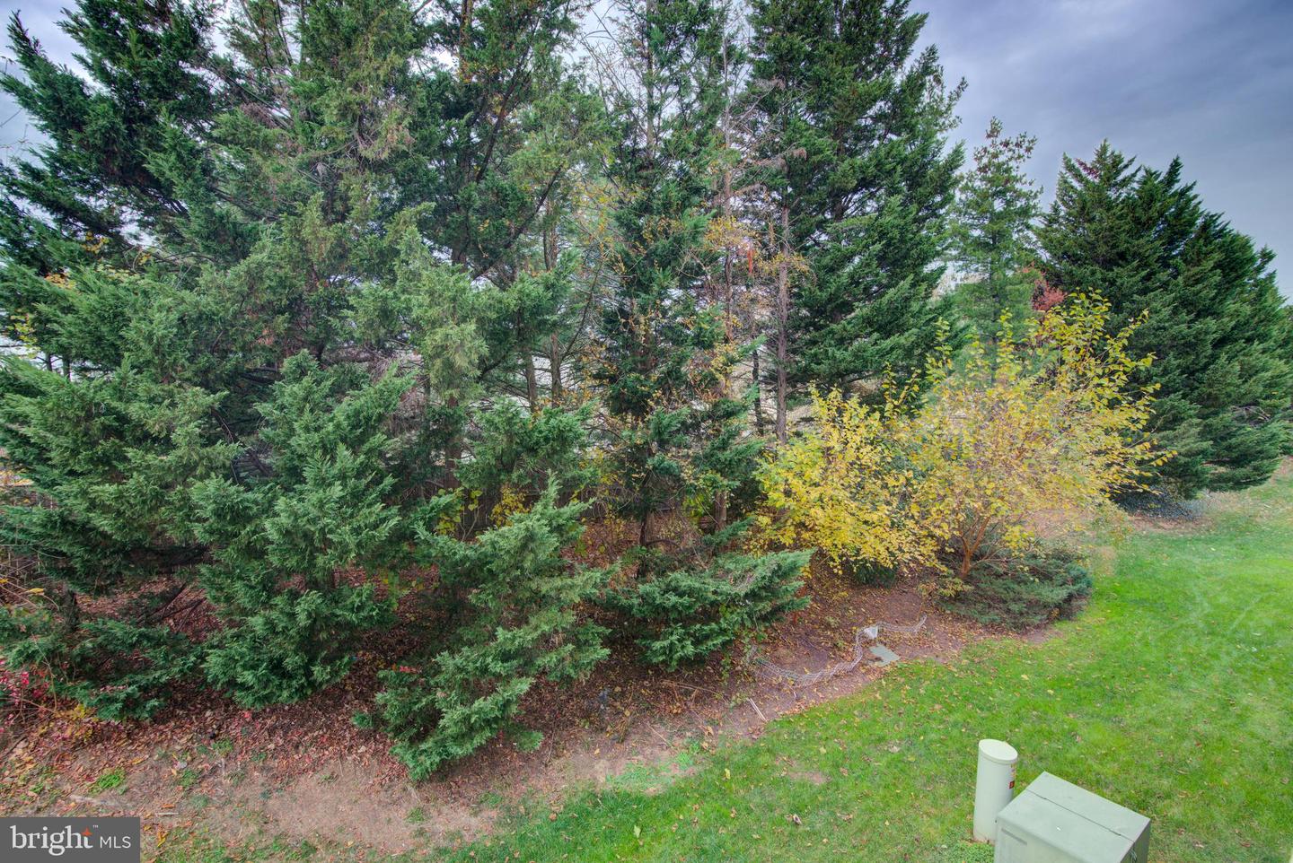 6964-D ELLINGHAM CIR #86, ALEXANDRIA, Virginia 22315, 2 Bedrooms Bedrooms, ,2 BathroomsBathrooms,Residential,For sale,6964-D ELLINGHAM CIR #86,VAFX2279014 MLS # VAFX2279014 6964-D ELLINGHAM CIR #86, ALEXANDRIA, Virginia 22315, 2 Bedrooms Bedrooms, ,2 BathroomsBathrooms,Residential,For sale,6964-D ELLINGHAM CIR #86,VAFX2279014 MLS # VAFX2279014