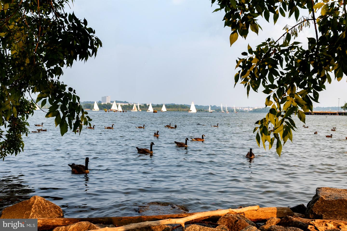 801 N PITT ST #1708, ALEXANDRIA, Virginia 22314, 1 Bedroom Bedrooms, ,1 BathroomBathrooms,Residential,For sale,801 N PITT ST #1708,VAAX2051782 MLS # VAAX2051782 801 N PITT ST #1708, ALEXANDRIA, Virginia 22314, 1 Bedroom Bedrooms, ,1 BathroomBathrooms,Residential,For sale,801 N PITT ST #1708,VAAX2051782 MLS # VAAX2051782