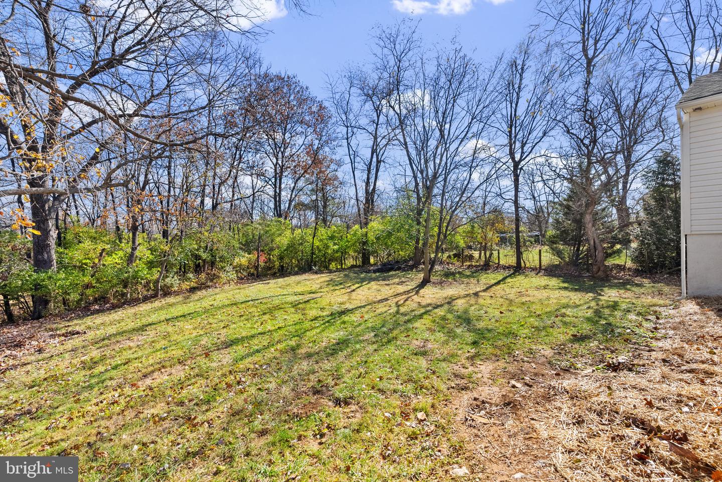 240 CRUMS CHURCH RD, BERRYVILLE, Virginia 22611, 3 Bedrooms Bedrooms, ,2 BathroomsBathrooms,Residential,For sale,240 CRUMS CHURCH RD,VACL2006232 MLS # VACL2006232 240 CRUMS CHURCH RD, BERRYVILLE, Virginia 22611, 3 Bedrooms Bedrooms, ,2 BathroomsBathrooms,Residential,For sale,240 CRUMS CHURCH RD,VACL2006232 MLS # VACL2006232