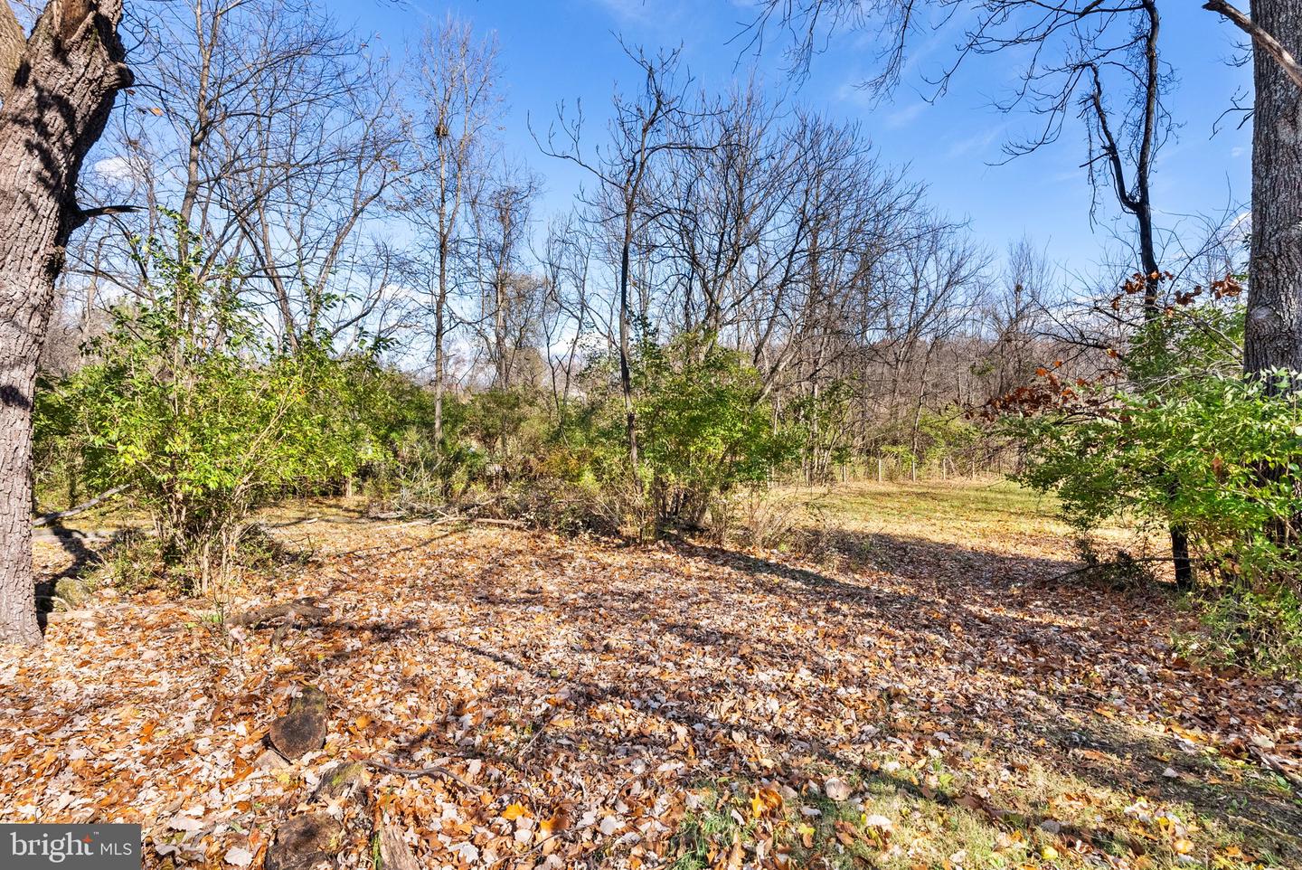 240 CRUMS CHURCH RD, BERRYVILLE, Virginia 22611, 3 Bedrooms Bedrooms, ,2 BathroomsBathrooms,Residential,For sale,240 CRUMS CHURCH RD,VACL2006232 MLS # VACL2006232 240 CRUMS CHURCH RD, BERRYVILLE, Virginia 22611, 3 Bedrooms Bedrooms, ,2 BathroomsBathrooms,Residential,For sale,240 CRUMS CHURCH RD,VACL2006232 MLS # VACL2006232