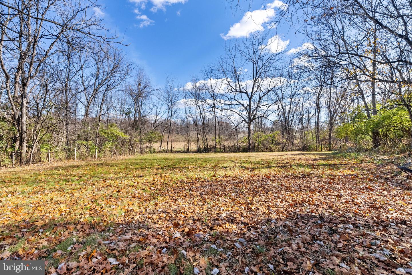 240 CRUMS CHURCH RD, BERRYVILLE, Virginia 22611, 3 Bedrooms Bedrooms, ,2 BathroomsBathrooms,Residential,For sale,240 CRUMS CHURCH RD,VACL2006232 MLS # VACL2006232 240 CRUMS CHURCH RD, BERRYVILLE, Virginia 22611, 3 Bedrooms Bedrooms, ,2 BathroomsBathrooms,Residential,For sale,240 CRUMS CHURCH RD,VACL2006232 MLS # VACL2006232