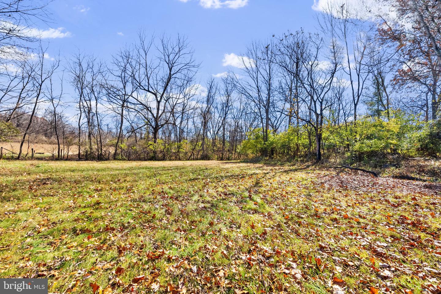 240 CRUMS CHURCH RD, BERRYVILLE, Virginia 22611, 3 Bedrooms Bedrooms, ,2 BathroomsBathrooms,Residential,For sale,240 CRUMS CHURCH RD,VACL2006232 MLS # VACL2006232 240 CRUMS CHURCH RD, BERRYVILLE, Virginia 22611, 3 Bedrooms Bedrooms, ,2 BathroomsBathrooms,Residential,For sale,240 CRUMS CHURCH RD,VACL2006232 MLS # VACL2006232