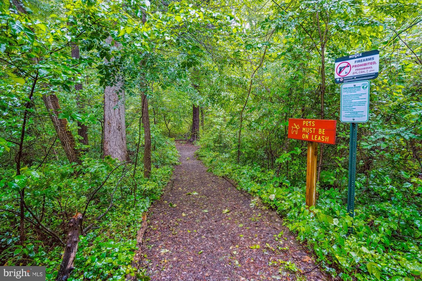 1506 HOLLINDALE DR, ALEXANDRIA, Virginia 22306, 3 Bedrooms Bedrooms, 10 Rooms Rooms,2 BathroomsBathrooms,Residential,For sale,1506 HOLLINDALE DR,VAFX2279156 MLS # VAFX2279156 1506 HOLLINDALE DR, ALEXANDRIA, Virginia 22306, 3 Bedrooms Bedrooms, 10 Rooms Rooms,2 BathroomsBathrooms,Residential,For sale,1506 HOLLINDALE DR,VAFX2279156 MLS # VAFX2279156