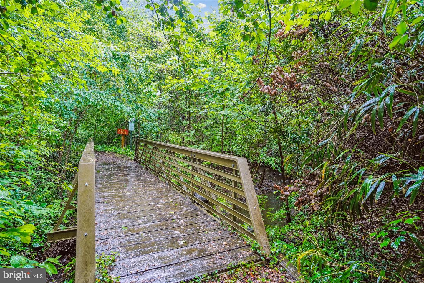 1506 HOLLINDALE DR, ALEXANDRIA, Virginia 22306, 3 Bedrooms Bedrooms, 10 Rooms Rooms,2 BathroomsBathrooms,Residential,For sale,1506 HOLLINDALE DR,VAFX2279156 MLS # VAFX2279156 1506 HOLLINDALE DR, ALEXANDRIA, Virginia 22306, 3 Bedrooms Bedrooms, 10 Rooms Rooms,2 BathroomsBathrooms,Residential,For sale,1506 HOLLINDALE DR,VAFX2279156 MLS # VAFX2279156