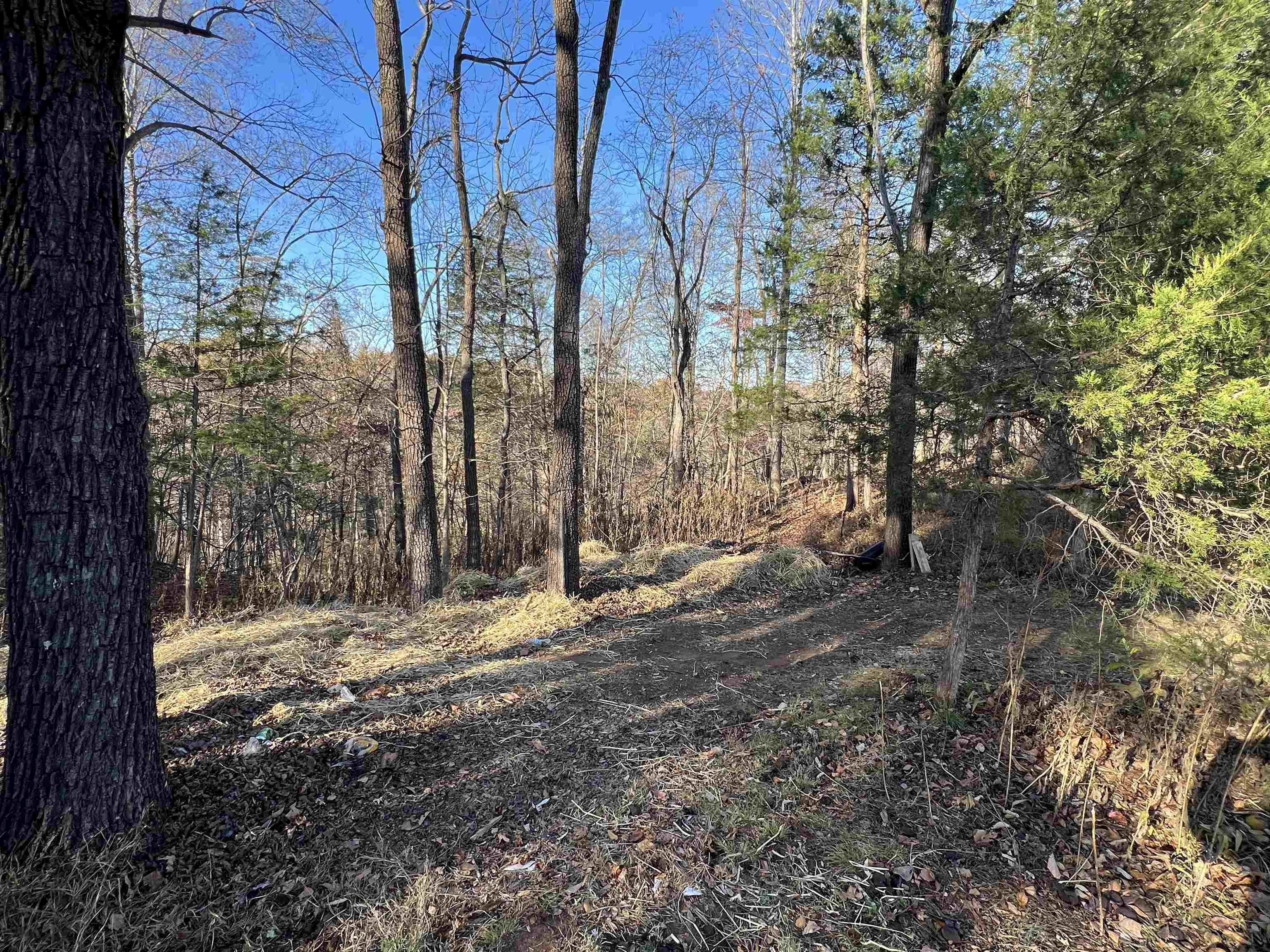 103 CRYSTAL LN, FABER, Virginia 22938, 4 Bedrooms Bedrooms, ,3 BathroomsBathrooms,Residential,103 CRYSTAL LN,671154 MLS # 671154 103 CRYSTAL LN, FABER, Virginia 22938, 4 Bedrooms Bedrooms, ,3 BathroomsBathrooms,Residential,103 CRYSTAL LN,671154 MLS # 671154