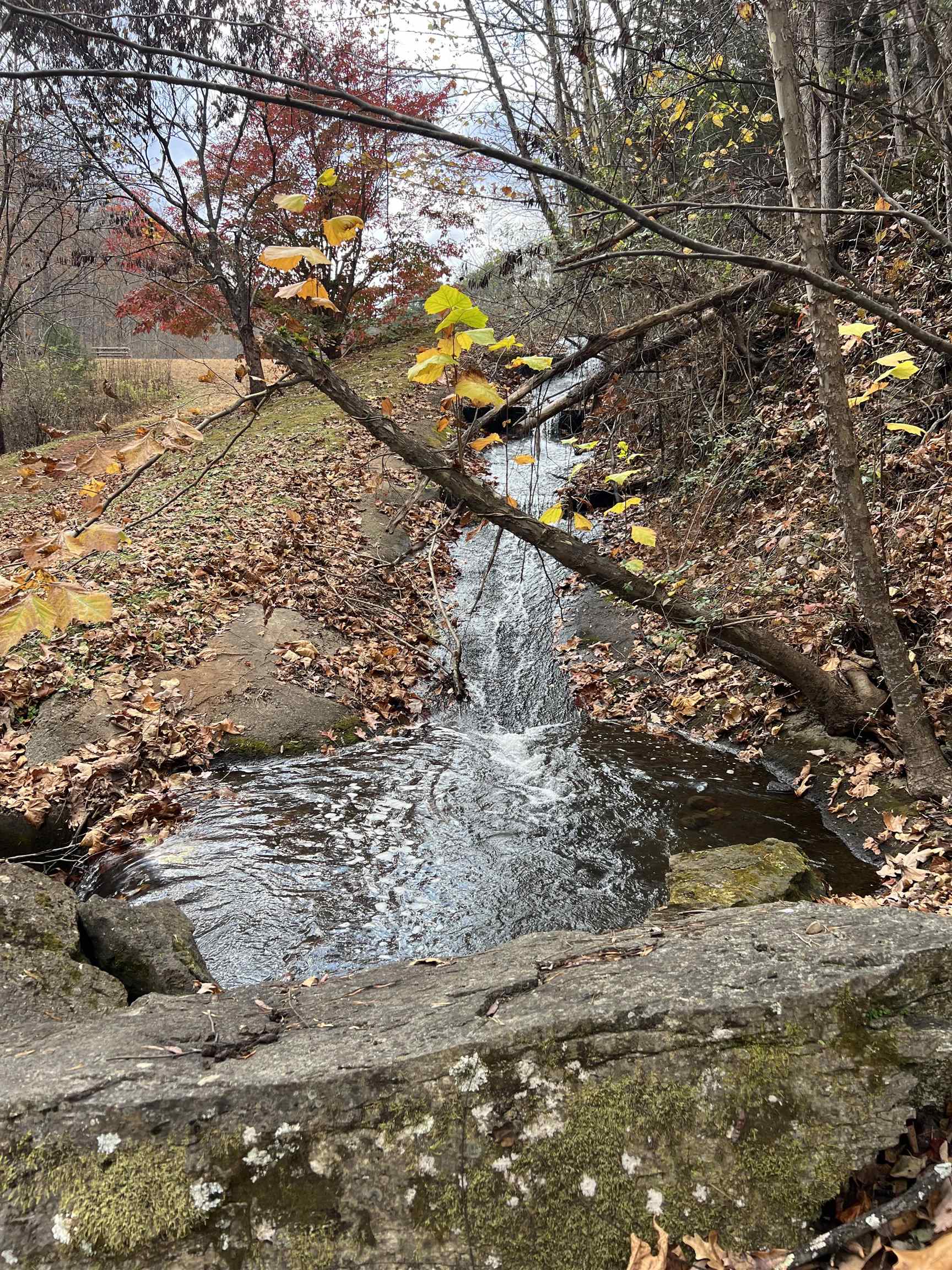 103 CRYSTAL LN, FABER, Virginia 22938, 4 Bedrooms Bedrooms, ,3 BathroomsBathrooms,Residential,103 CRYSTAL LN,671154 MLS # 671154 103 CRYSTAL LN, FABER, Virginia 22938, 4 Bedrooms Bedrooms, ,3 BathroomsBathrooms,Residential,103 CRYSTAL LN,671154 MLS # 671154