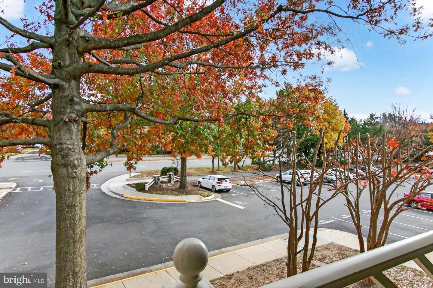 12213 FAIRFIELD HOUSE DR #506B, FAIRFAX, Virginia 22033, 2 Bedrooms Bedrooms, 4 Rooms Rooms,2 BathroomsBathrooms,Residential,For sale,12213 FAIRFIELD HOUSE DR #506B,VAFX2278486 MLS # VAFX2278486 12213 FAIRFIELD HOUSE DR #506B, FAIRFAX, Virginia 22033, 2 Bedrooms Bedrooms, 4 Rooms Rooms,2 BathroomsBathrooms,Residential,For sale,12213 FAIRFIELD HOUSE DR #506B,VAFX2278486 MLS # VAFX2278486