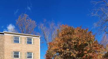14828 HOXTON SQ, CENTREVILLE, Virginia 20120, 3 Bedrooms Bedrooms, 12 Rooms Rooms,2 BathroomsBathrooms,Residential,For sale,14828 HOXTON SQ,VAFX2278580 MLS # VAFX2278580