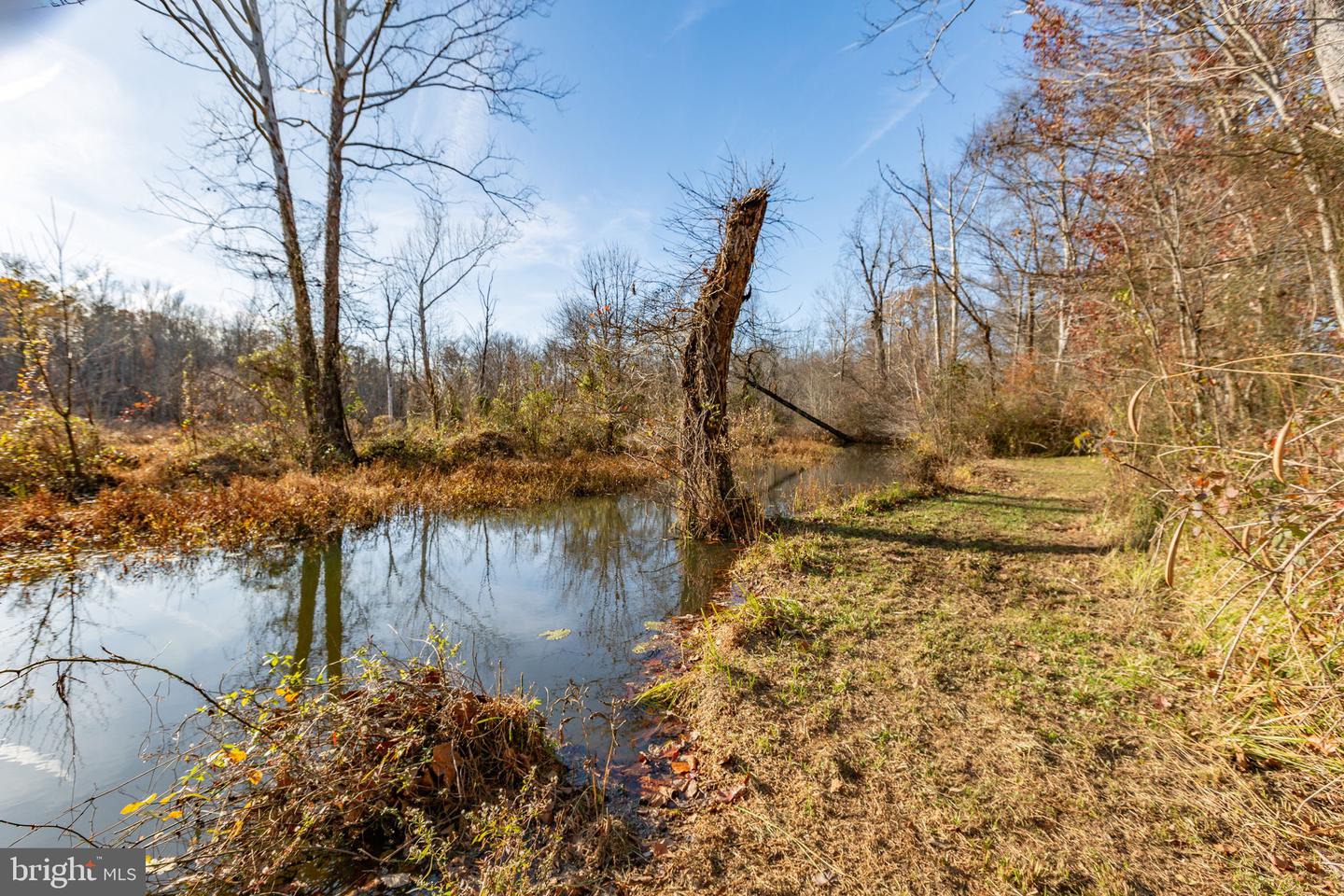 81 LEYLAND FARMS DR, BUMPASS, Virginia 23024, 3 Bedrooms Bedrooms, ,2 BathroomsBathrooms,Residential,For sale,81 LEYLAND FARMS DR,VALA2008904 MLS # VALA2008904 81 LEYLAND FARMS DR, BUMPASS, Virginia 23024, 3 Bedrooms Bedrooms, ,2 BathroomsBathrooms,Residential,For sale,81 LEYLAND FARMS DR,VALA2008904 MLS # VALA2008904