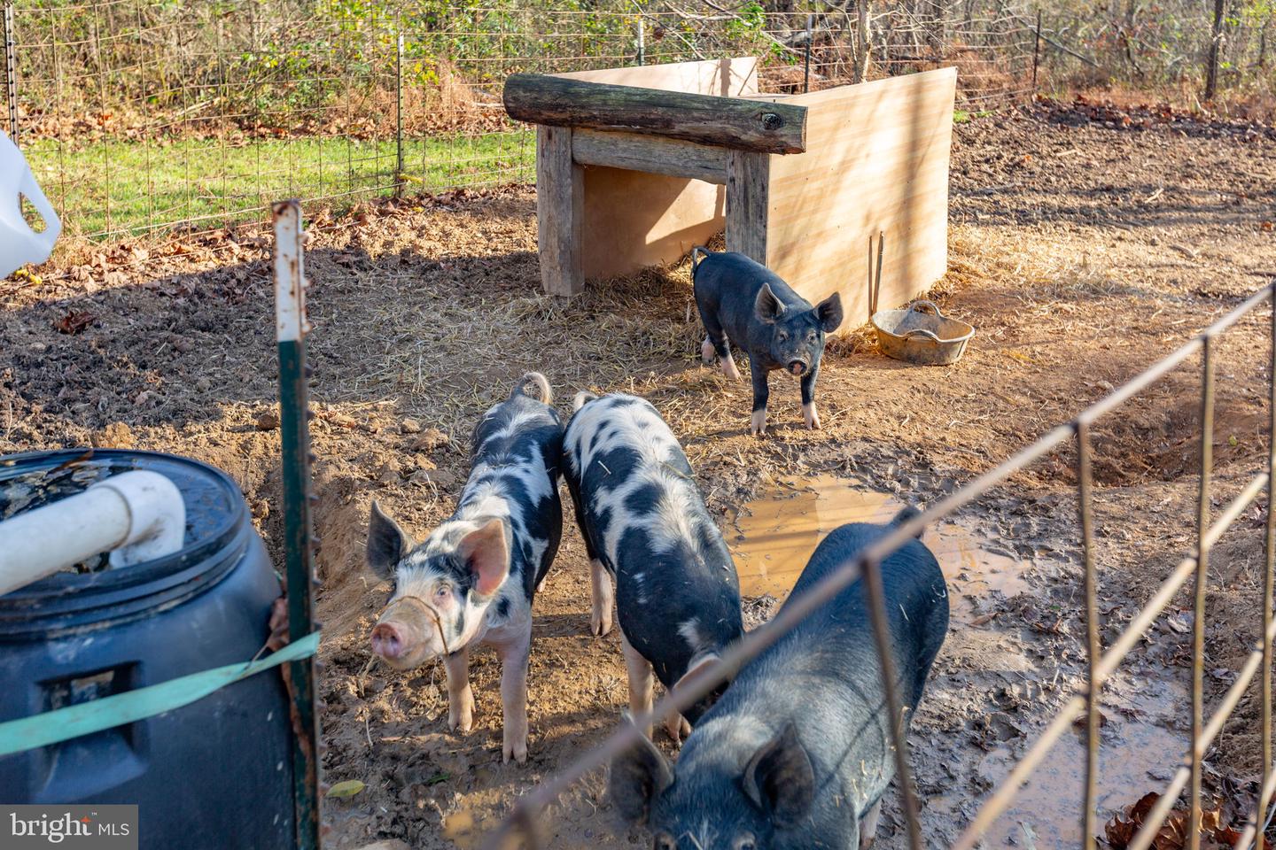 81 LEYLAND FARMS DR, BUMPASS, Virginia 23024, 3 Bedrooms Bedrooms, ,2 BathroomsBathrooms,Residential,For sale,81 LEYLAND FARMS DR,VALA2008904 MLS # VALA2008904 81 LEYLAND FARMS DR, BUMPASS, Virginia 23024, 3 Bedrooms Bedrooms, ,2 BathroomsBathrooms,Residential,For sale,81 LEYLAND FARMS DR,VALA2008904 MLS # VALA2008904