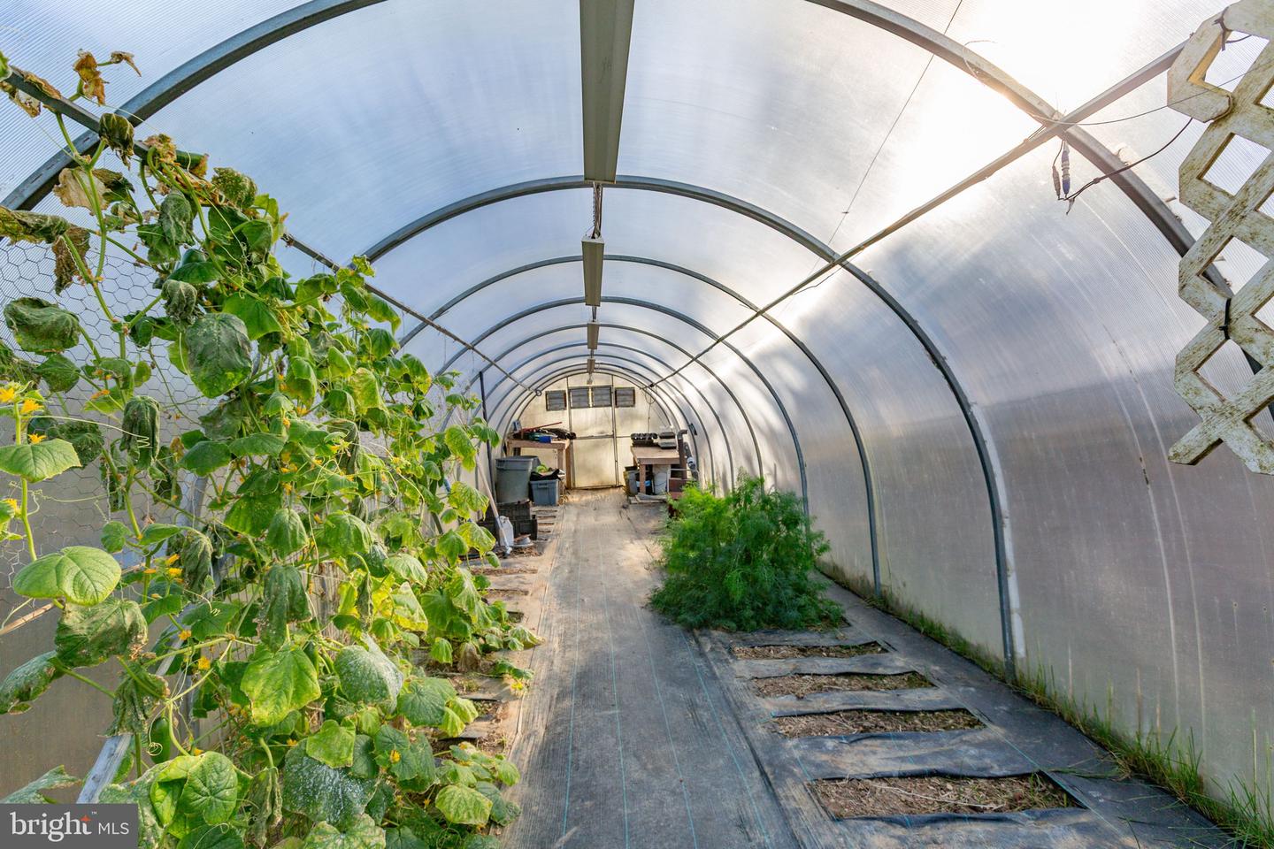 81 LEYLAND FARMS DR, BUMPASS, Virginia 23024, 3 Bedrooms Bedrooms, ,2 BathroomsBathrooms,Residential,For sale,81 LEYLAND FARMS DR,VALA2008904 MLS # VALA2008904 81 LEYLAND FARMS DR, BUMPASS, Virginia 23024, 3 Bedrooms Bedrooms, ,2 BathroomsBathrooms,Residential,For sale,81 LEYLAND FARMS DR,VALA2008904 MLS # VALA2008904