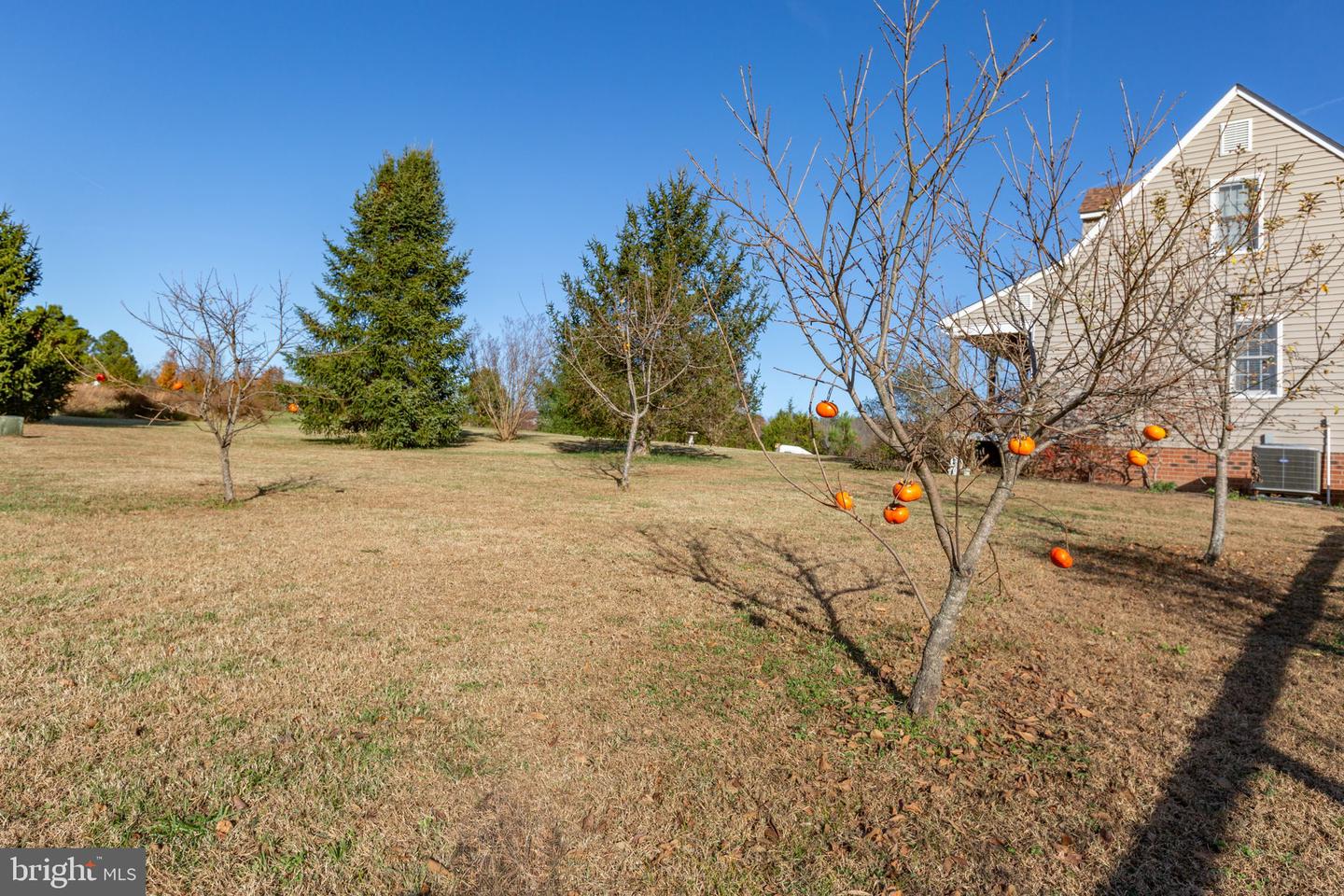 81 LEYLAND FARMS DR, BUMPASS, Virginia 23024, 3 Bedrooms Bedrooms, ,2 BathroomsBathrooms,Residential,For sale,81 LEYLAND FARMS DR,VALA2008904 MLS # VALA2008904 81 LEYLAND FARMS DR, BUMPASS, Virginia 23024, 3 Bedrooms Bedrooms, ,2 BathroomsBathrooms,Residential,For sale,81 LEYLAND FARMS DR,VALA2008904 MLS # VALA2008904