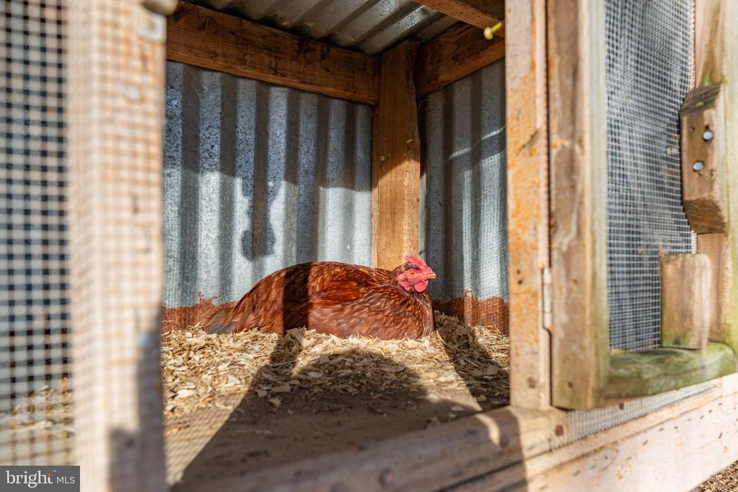 81 LEYLAND FARMS DR, BUMPASS, Virginia 23024, 3 Bedrooms Bedrooms, ,2 BathroomsBathrooms,Residential,For sale,81 LEYLAND FARMS DR,VALA2008904 MLS # VALA2008904 81 LEYLAND FARMS DR, BUMPASS, Virginia 23024, 3 Bedrooms Bedrooms, ,2 BathroomsBathrooms,Residential,For sale,81 LEYLAND FARMS DR,VALA2008904 MLS # VALA2008904