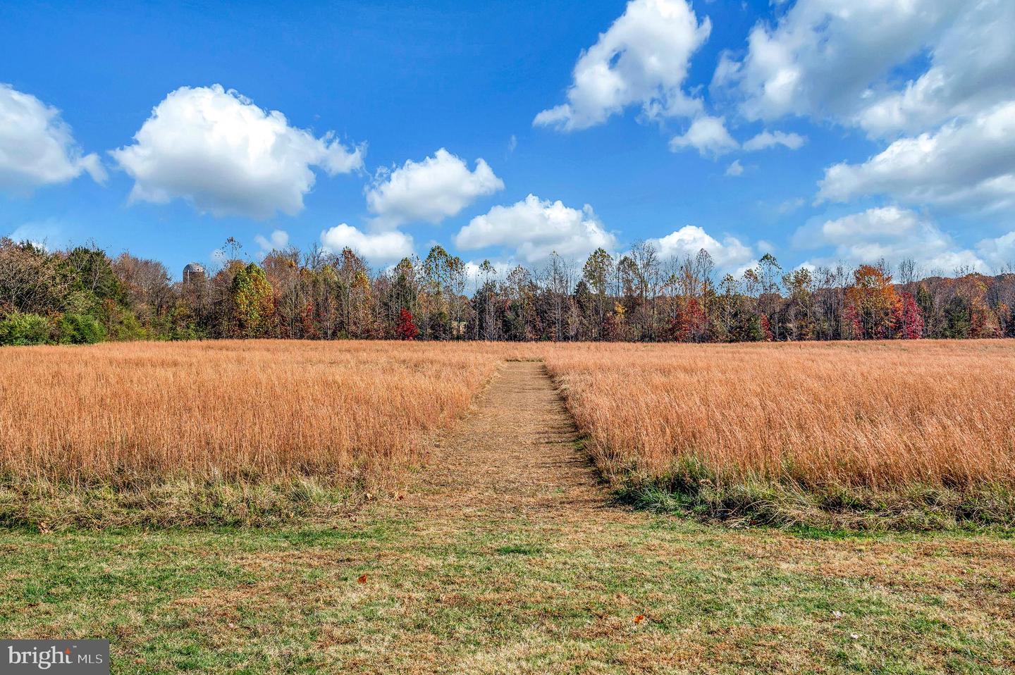773 TRUSLOW RD, FREDERICKSBURG, Virginia 22406, 3 Bedrooms Bedrooms, 3 Rooms Rooms,Residential,For sale,773 TRUSLOW RD,VAST2044236 MLS # VAST2044236 773 TRUSLOW RD, FREDERICKSBURG, Virginia 22406, 3 Bedrooms Bedrooms, 3 Rooms Rooms,Residential,For sale,773 TRUSLOW RD,VAST2044236 MLS # VAST2044236