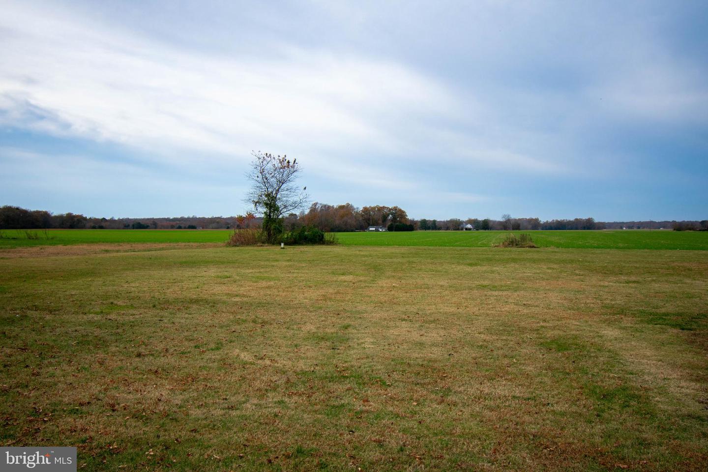 240 SONNET RD, MONTROSS, Virginia 22520, 3 Bedrooms Bedrooms, ,2 BathroomsBathrooms,Residential,For sale,240 SONNET RD,VAWE2010112 MLS # VAWE2010112 240 SONNET RD, MONTROSS, Virginia 22520, 3 Bedrooms Bedrooms, ,2 BathroomsBathrooms,Residential,For sale,240 SONNET RD,VAWE2010112 MLS # VAWE2010112