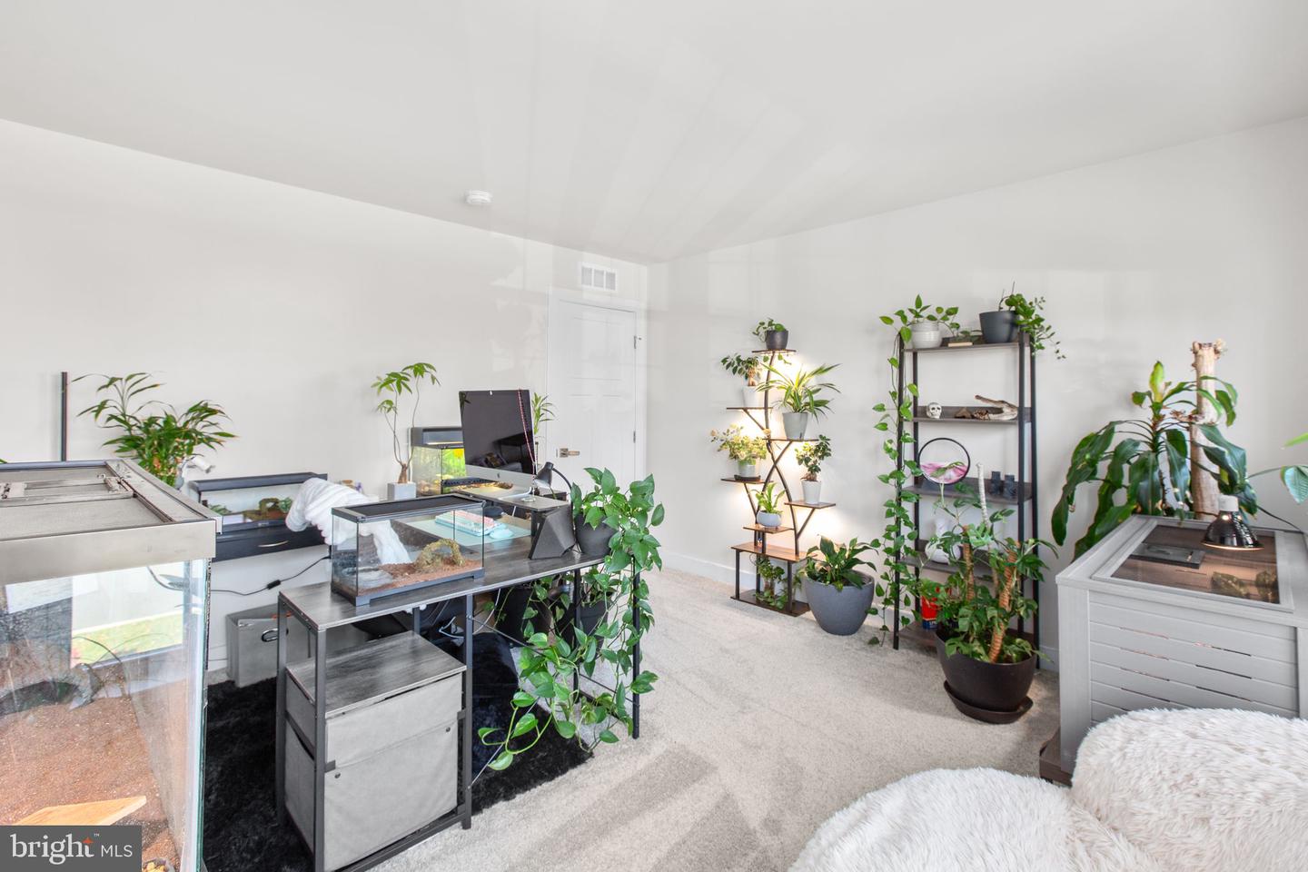 12301 FAWN LAKE PKWY, SPOTSYLVANIA, Virginia 22551, 5 Bedrooms Bedrooms, ,4 BathroomsBathrooms,Residential,For sale,12301 FAWN LAKE PKWY,VASP2037598 MLS # VASP2037598 12301 FAWN LAKE PKWY, SPOTSYLVANIA, Virginia 22551, 5 Bedrooms Bedrooms, ,4 BathroomsBathrooms,Residential,For sale,12301 FAWN LAKE PKWY,VASP2037598 MLS # VASP2037598