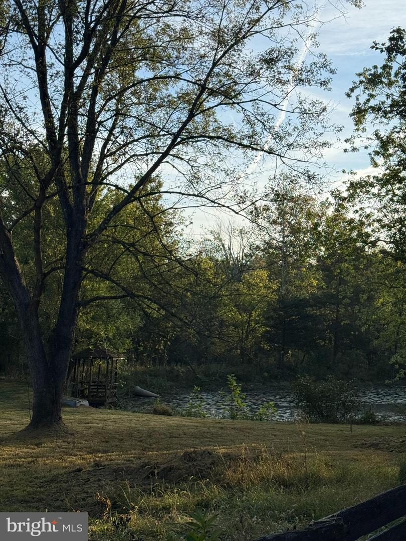 3339 N FREDERICK PIKE, WINCHESTER, Virginia 22603, 5 Bedrooms Bedrooms, ,2 BathroomsBathrooms,Residential,For sale,3339 N FREDERICK PIKE,VAFV2038076 MLS # VAFV2038076 3339 N FREDERICK PIKE, WINCHESTER, Virginia 22603, 5 Bedrooms Bedrooms, ,2 BathroomsBathrooms,Residential,For sale,3339 N FREDERICK PIKE,VAFV2038076 MLS # VAFV2038076