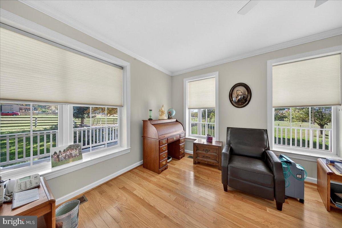 239 MT CARMEL RD, LURAY, Virginia 22835, 5 Bedrooms Bedrooms, ,3 BathroomsBathrooms,Residential,For sale,239 MT CARMEL RD,VAPA2005616 MLS # VAPA2005616 239 MT CARMEL RD, LURAY, Virginia 22835, 5 Bedrooms Bedrooms, ,3 BathroomsBathrooms,Residential,For sale,239 MT CARMEL RD,VAPA2005616 MLS # VAPA2005616