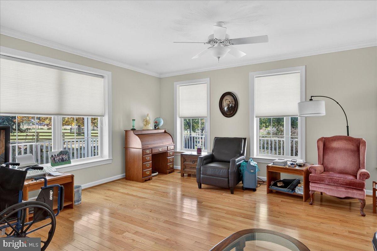 239 MT CARMEL RD, LURAY, Virginia 22835, 5 Bedrooms Bedrooms, ,3 BathroomsBathrooms,Residential,For sale,239 MT CARMEL RD,VAPA2005616 MLS # VAPA2005616 239 MT CARMEL RD, LURAY, Virginia 22835, 5 Bedrooms Bedrooms, ,3 BathroomsBathrooms,Residential,For sale,239 MT CARMEL RD,VAPA2005616 MLS # VAPA2005616