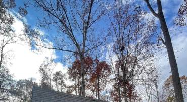 227 BEACHSIDE CV, LOCUST GROVE, Virginia 22508, 2 Bedrooms Bedrooms, ,2 BathroomsBathrooms,Residential,For sale,227 BEACHSIDE CV,VAOR2012800 MLS # VAOR2012800