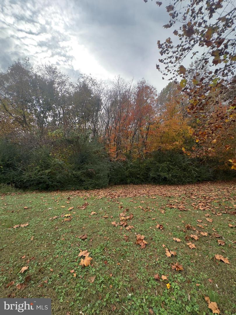 ZACATA RD, MONTROSS, Virginia 22520, ,Land,For sale,ZACATA RD,VAWE2010116 MLS # VAWE2010116