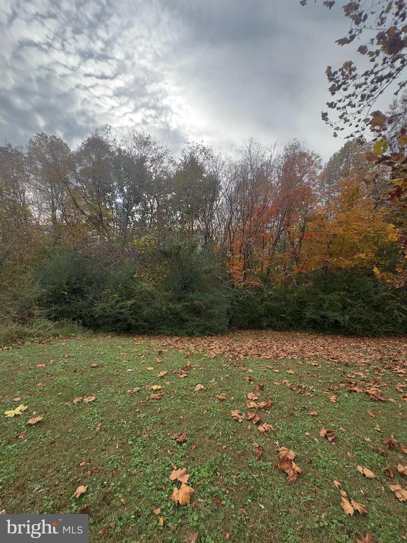 ZACATA RD, MONTROSS, Virginia 22520, ,Land,For sale,ZACATA RD,VAWE2010116 MLS # VAWE2010116