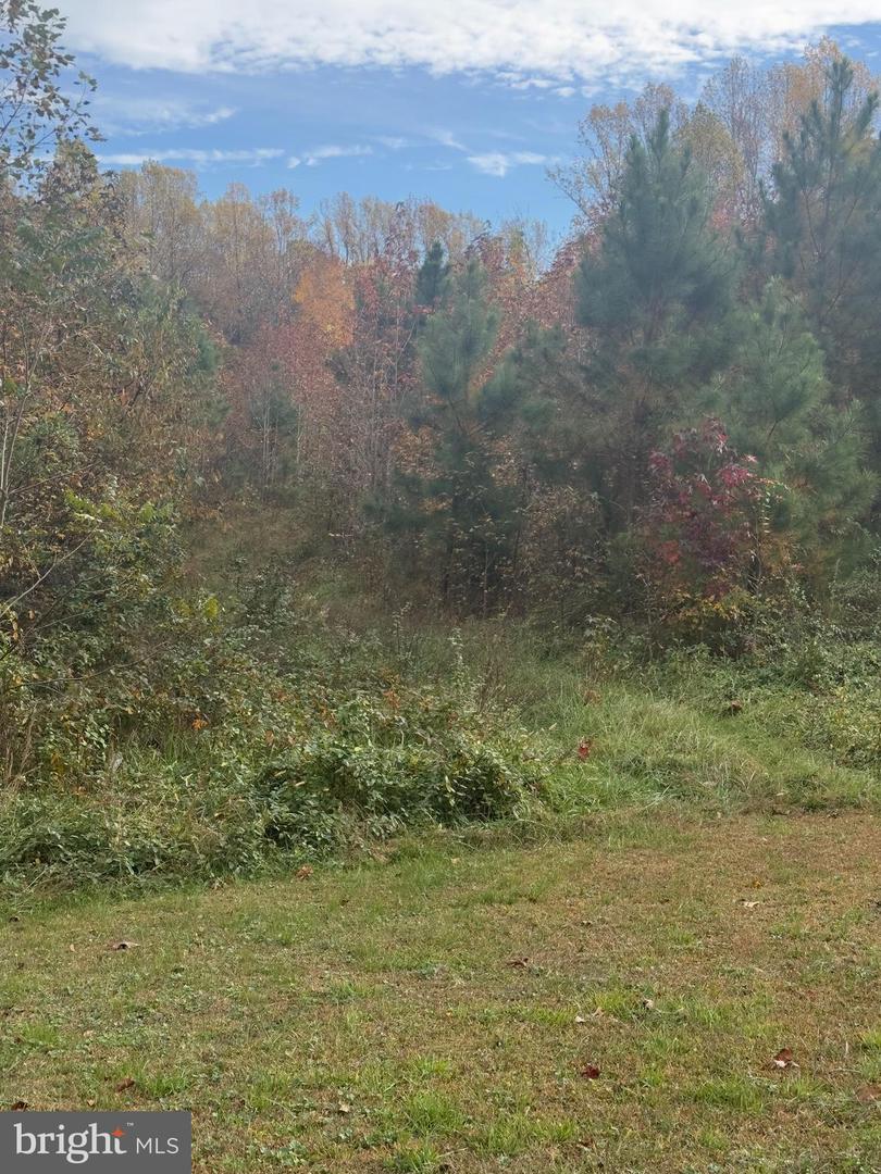 ZACATA RD, MONTROSS, Virginia 22520, ,Land,For sale,ZACATA RD,VAWE2010116 MLS # VAWE2010116