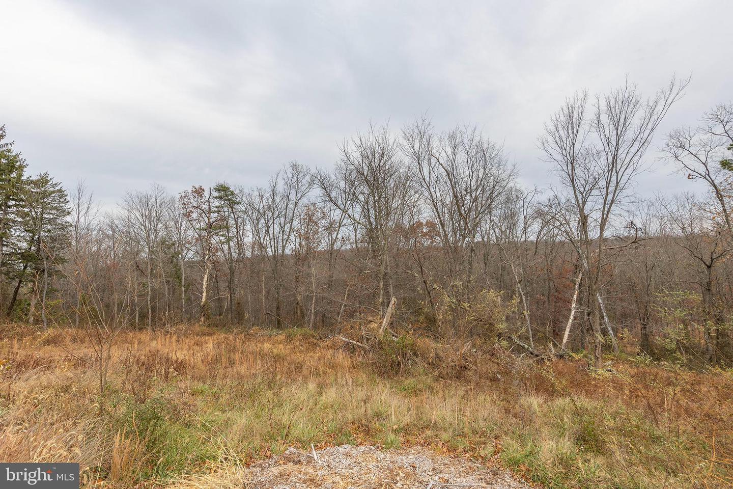 2913 WARDENSVILLE GRADE, WINCHESTER, Virginia 22602, 3 Bedrooms Bedrooms, ,2 BathroomsBathrooms,Residential,For sale,2913 WARDENSVILLE GRADE,VAFV2038032 MLS # VAFV2038032 2913 WARDENSVILLE GRADE, WINCHESTER, Virginia 22602, 3 Bedrooms Bedrooms, ,2 BathroomsBathrooms,Residential,For sale,2913 WARDENSVILLE GRADE,VAFV2038032 MLS # VAFV2038032